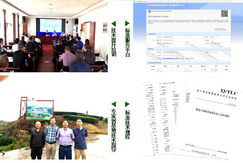 三杯香茶連續化加工技術示范與推廣項目獲好評，為茶產業現代化注入新動力